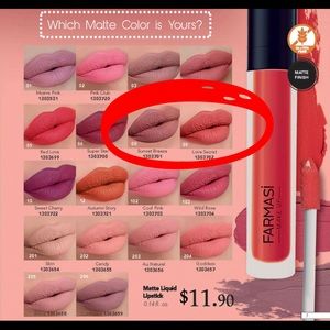 Farmasi Matte Liquid Lipstick